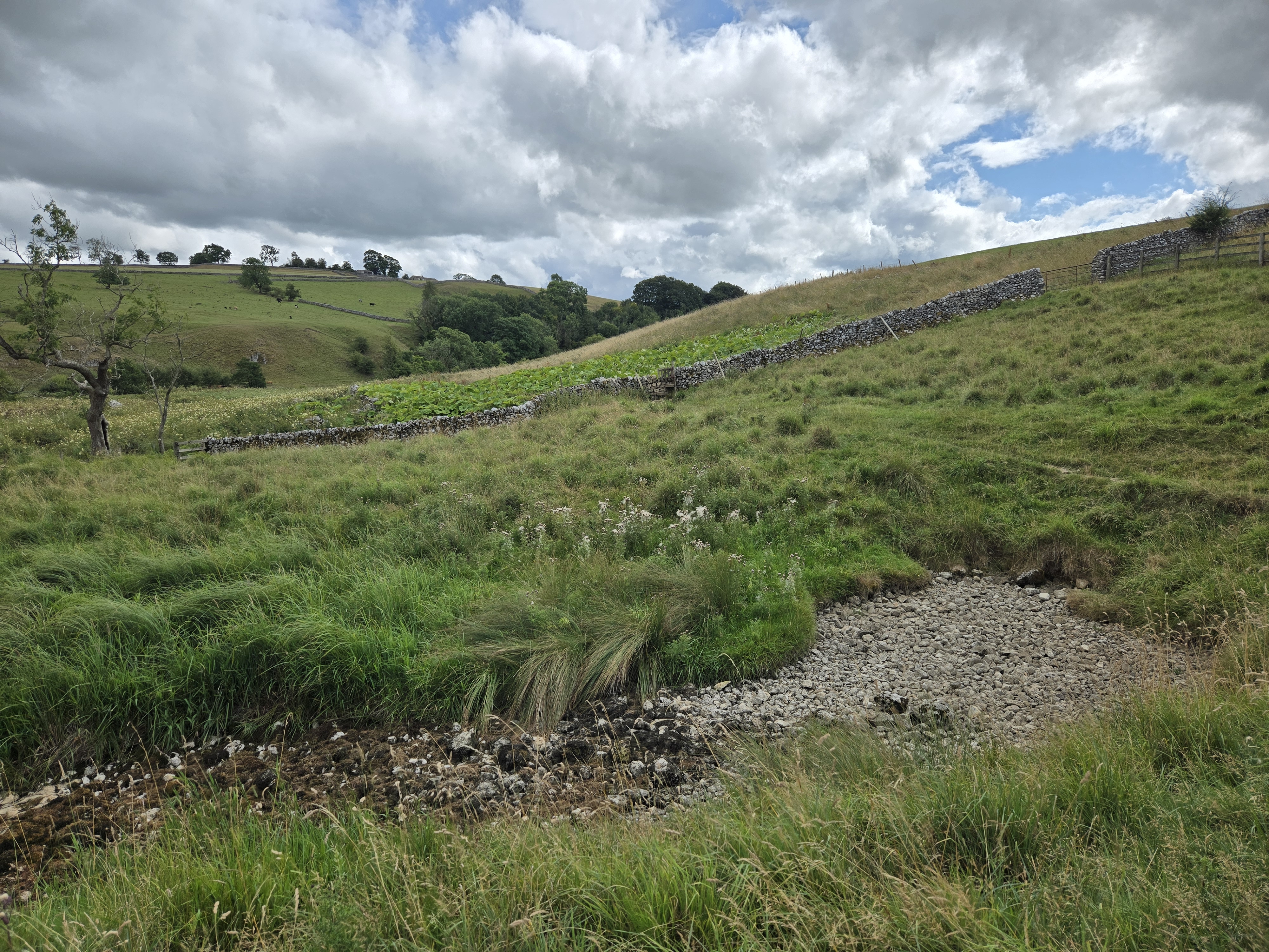 dry stream bed in field