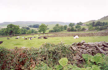 Austwick, in the Yorkshire Dales