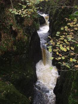 Baxenghyll Gorge, on the Ingleton Waterfalls Walk