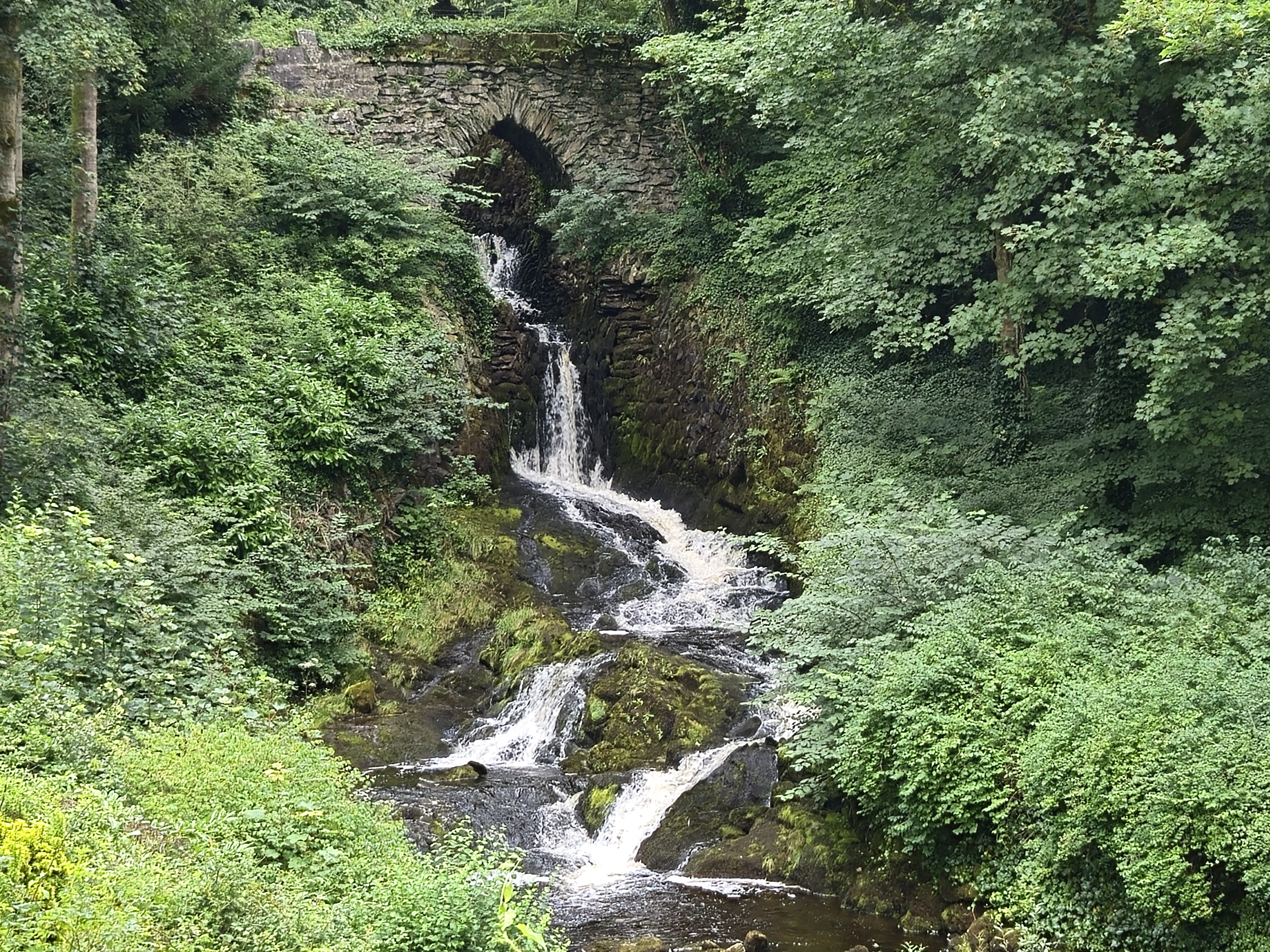 Clapham Falls