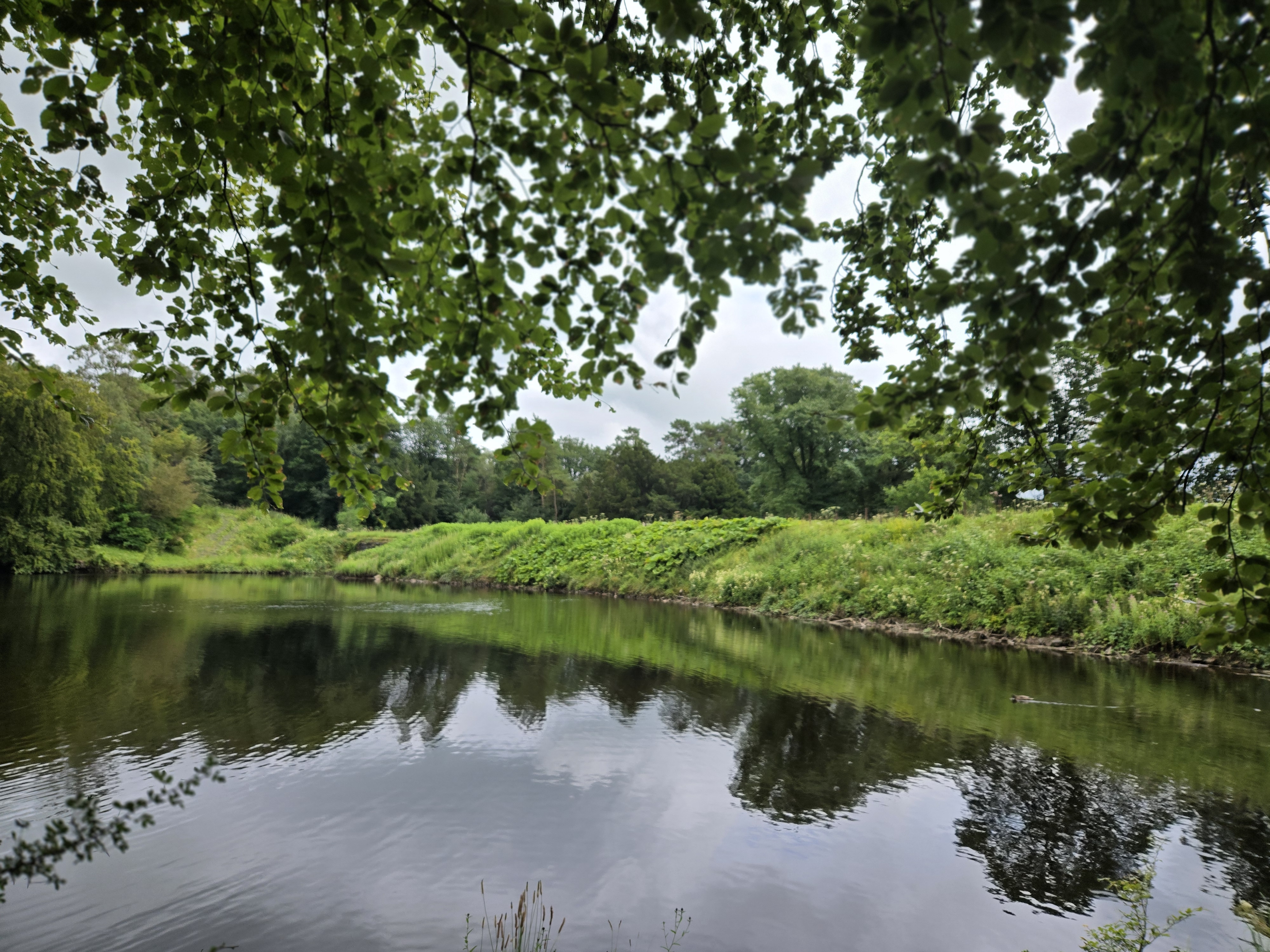 Grass covered dam at end of lake