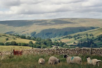 Deepdale, in the Yorkshire Dales