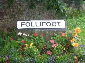 Foolifoot