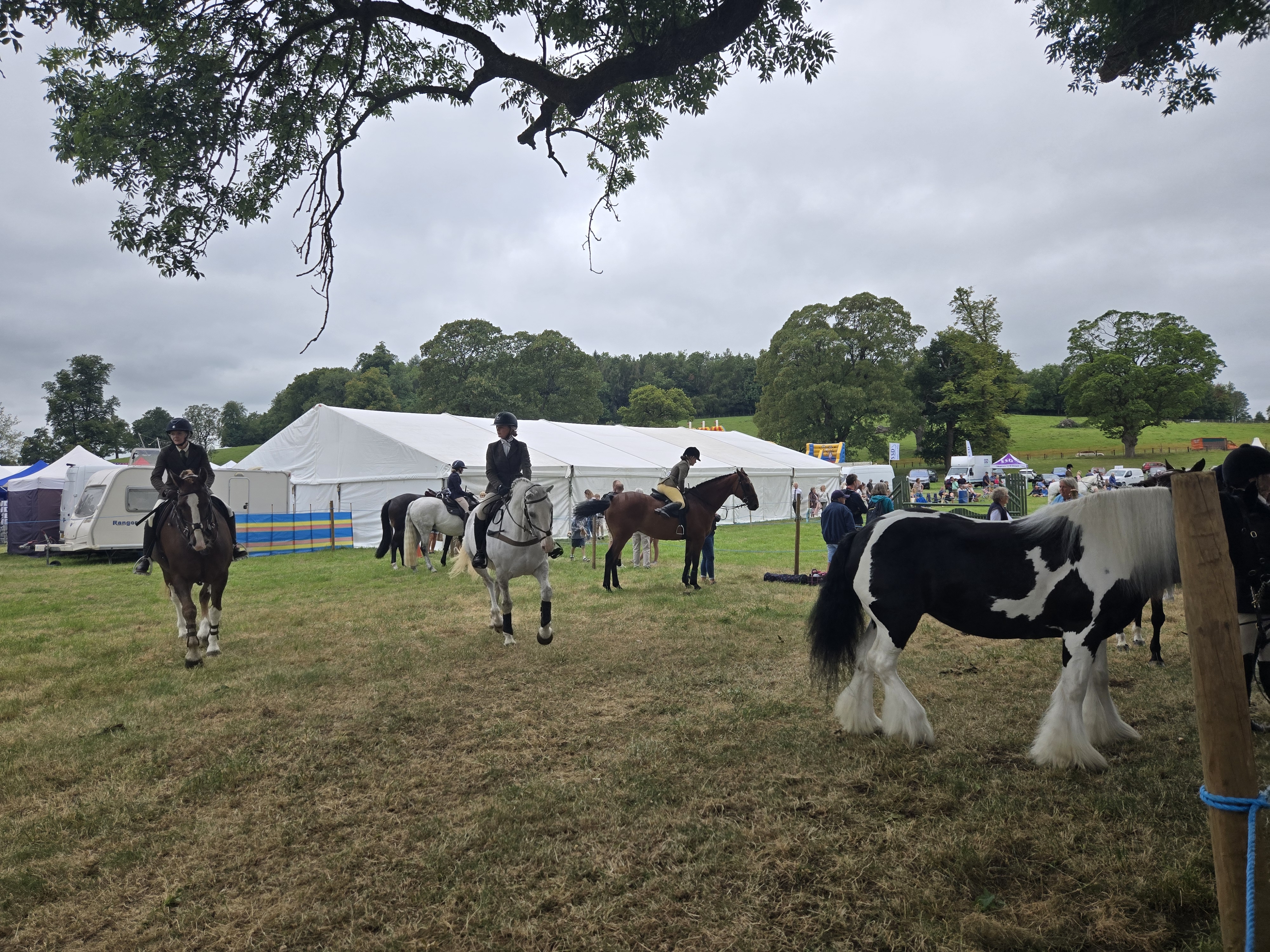 Horses at Gargrave Show