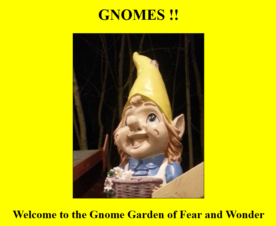 Picture of gnome with caption welcome to the gnome garden of fear and wonder