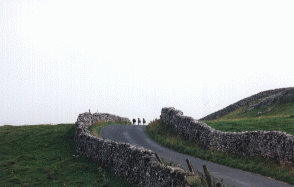 A lane with sheep