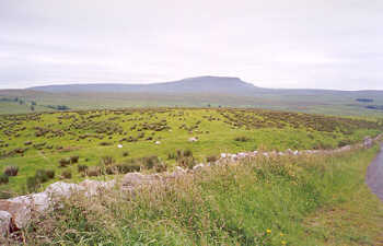 Pen-y-ghent - viewed from near Ribblehead