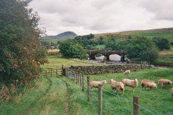 Ribblesdale