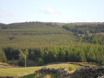 Stang Forest, overlooking Teesdale and the Tees Valley