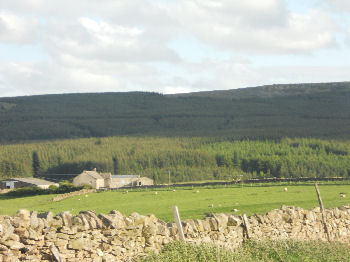Stang Forest, overlooking Teesdale and the Tees Valley