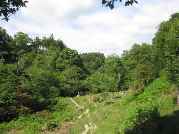 The Valley of Desolation