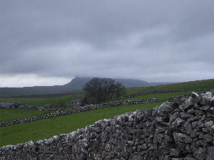 Drystone wall on moors above Stainforth in the Yorkshire Dales