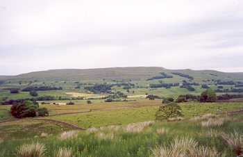 Wensleydale, in the Yorkshire Dales