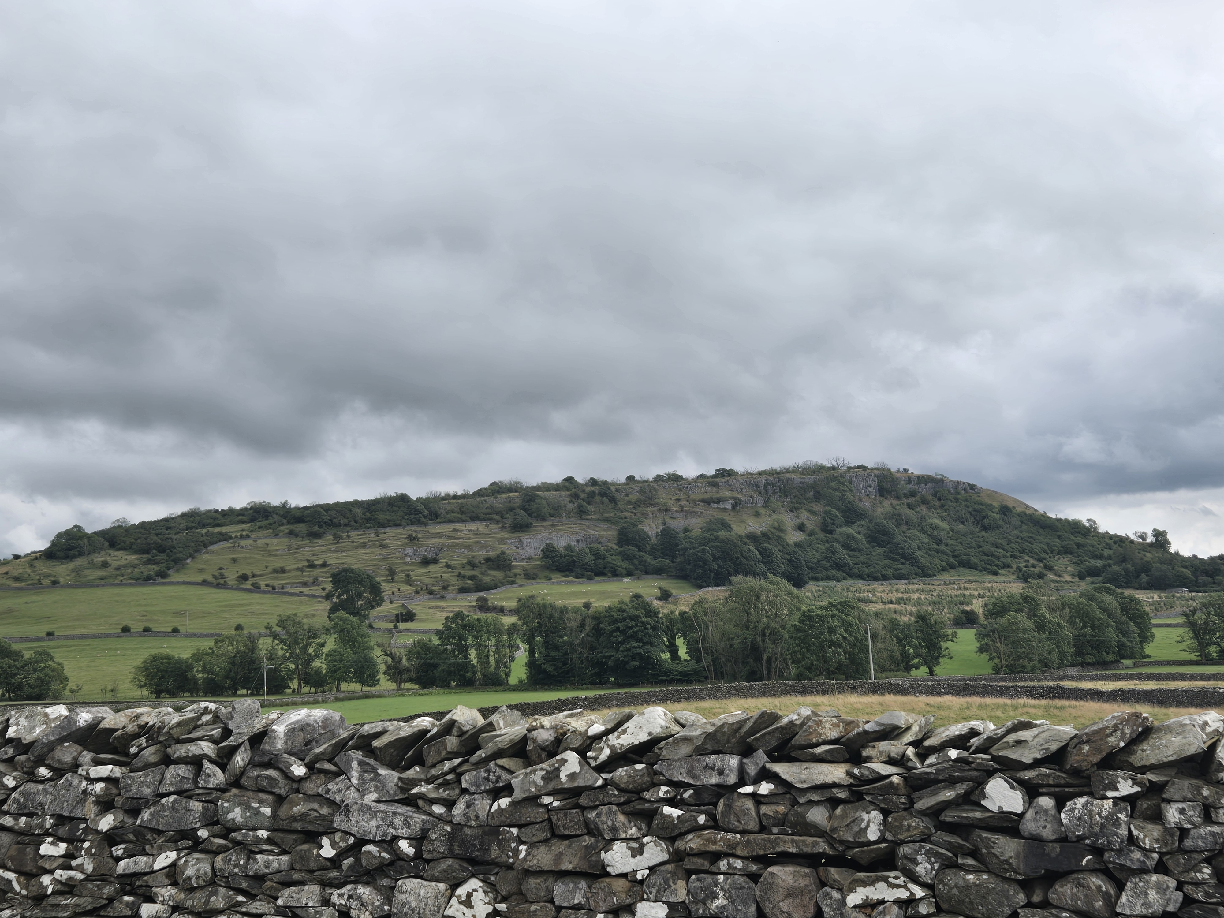 Hill with trees and drystone wall in foreground