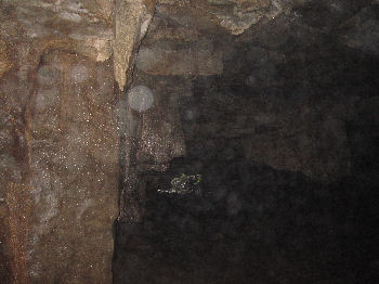 Yordas' Cave, Kingsdale