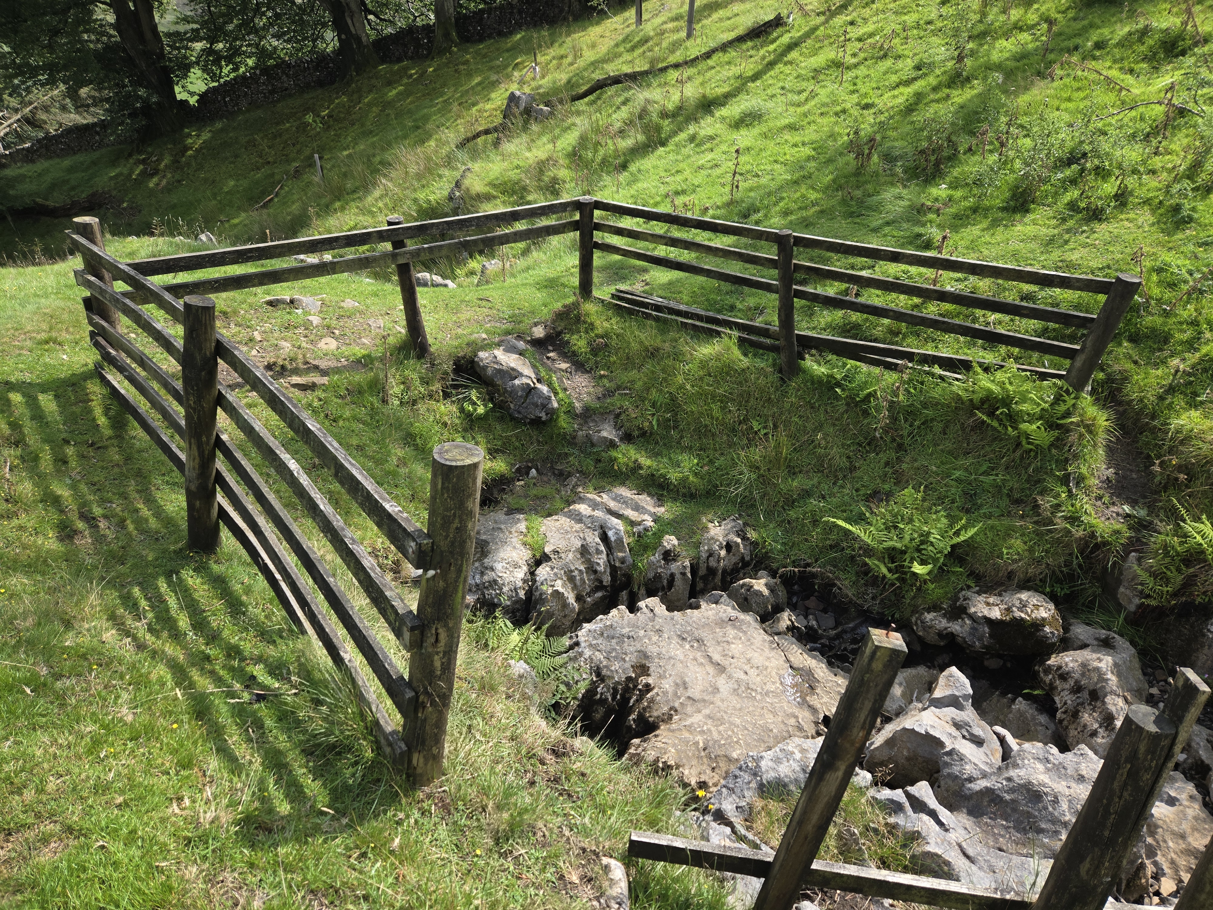 Fenced off pothole in woods